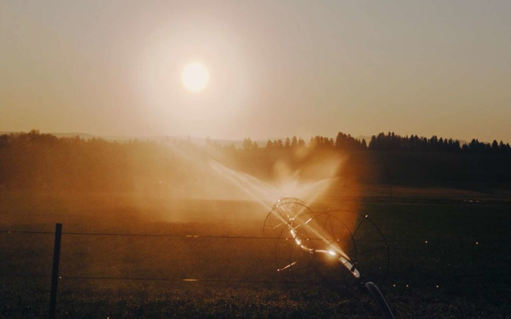 Sprinklers throwing water on a field in the rual america in front of a forest and the low standing sun.