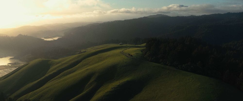 A beautiful swiss landscape with a house and a horse on it.